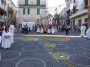 infiorata (112)